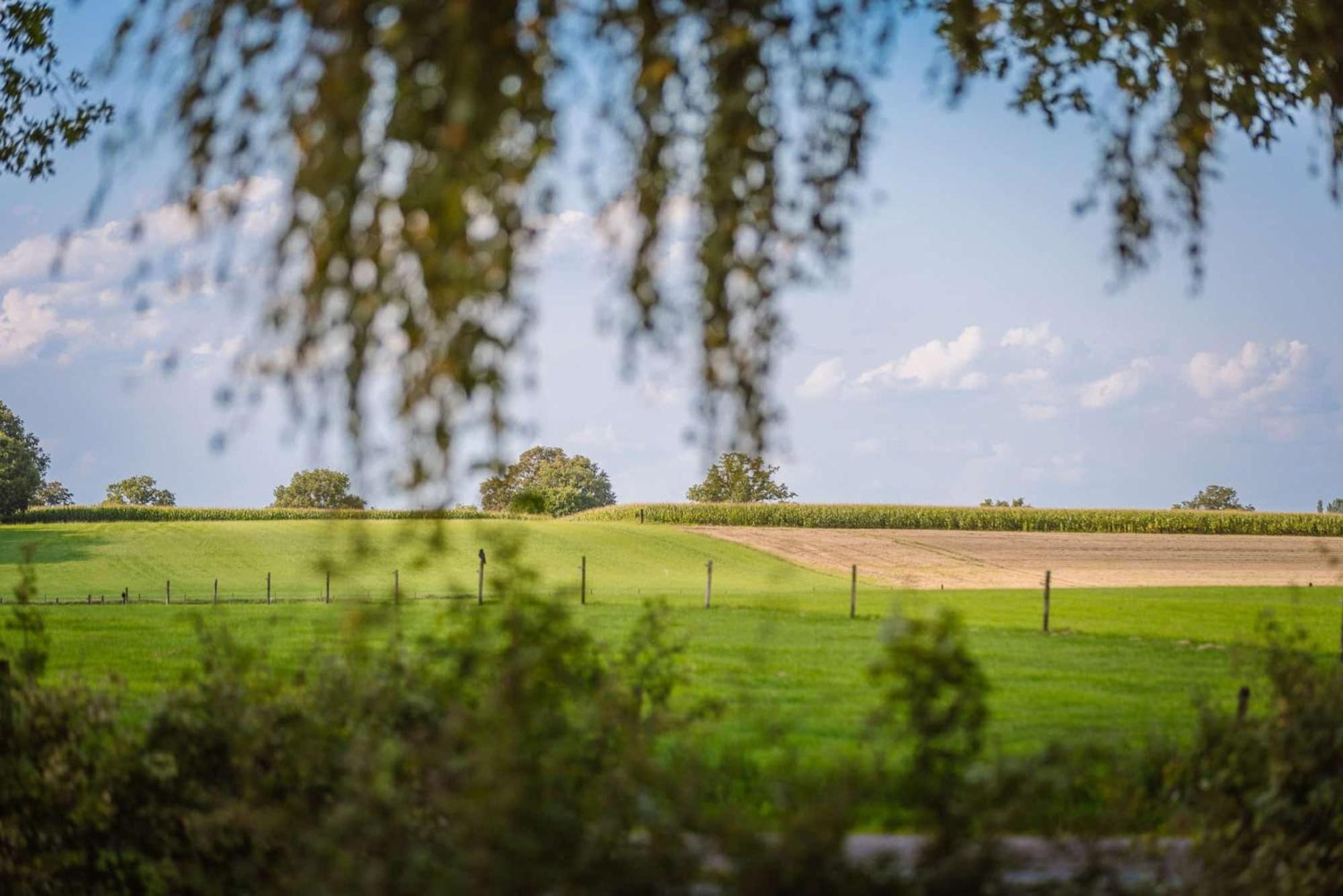 Zicht Op Twente - Spa Lodges Markelo Eksteriør billede